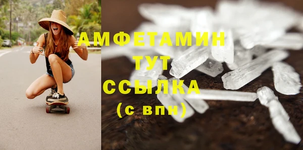 сатива Аркадак