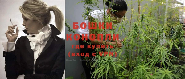 PSILOCYBIN Армянск