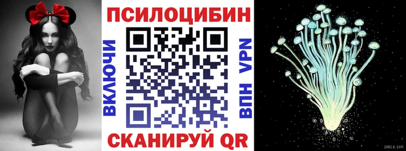 Галлюциногенные грибы мицелий  купить   KRAKEN ссылки  Рошаль 
